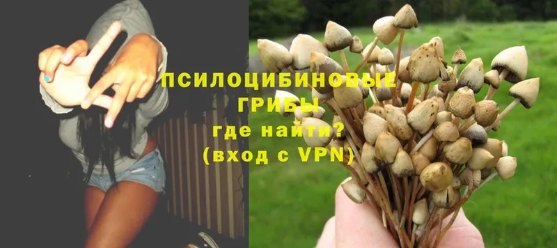 kraken сайт  наркотики  Ишимбай  Галлюциногенные грибы Psilocybe 